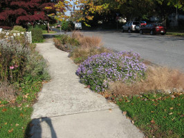 Stark1Watershed-Garden-Cert