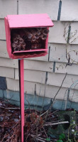 pollinator-box-low-res